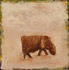 Hairey cow|55x55cm|2006
